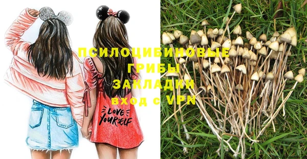кристаллы Новокубанск