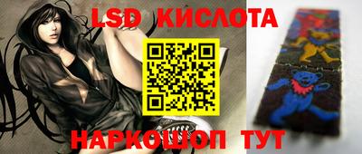 сатива Владимир