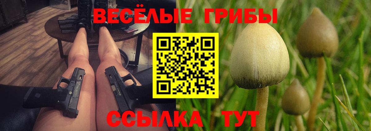Тутаев  Галлюциногенные грибы мицелий  Вход с VPN  Псилоцибиновые грибы Psilocybe 